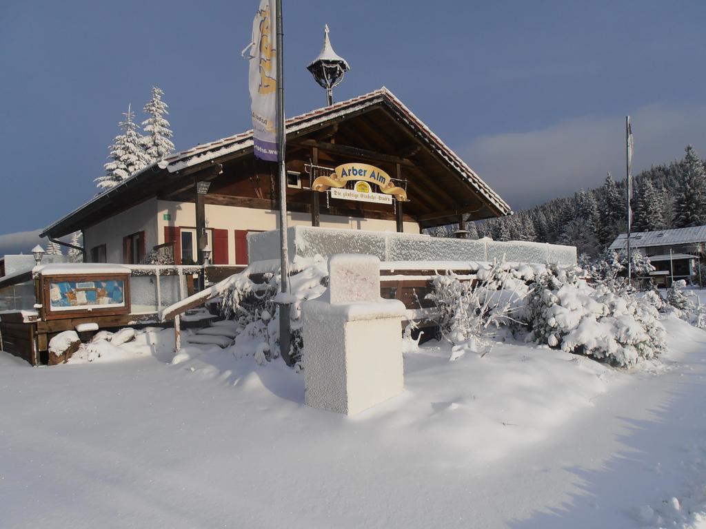 Arber Alm Bayerisch Eisenstein